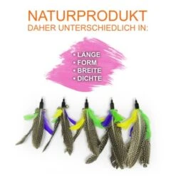 Schlitzohr Katzenangel Federanhänger 5x 15 Schlitzohr Katzenangel Federanhänger 5x -Haustierparadies f6a96b93601c3b2f6f7420ade3ecfe56542cca74 1484675 de DE b1d2fd29ad67016b9a6af908251d348edfa467f2BG8aWR