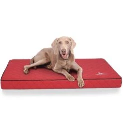 Knuffelwuff Orthopädische Hundematte Juna Aus Laser-gestepptem Kunstleder Rot L -Haustierparadies f8b9acde67bbc991a3791bba8cbd6c17097f2504 1411845 de DE 72b49e96d0fc008afacc20cc3236e69e758dd290NyBtW7