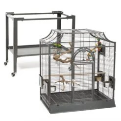 Montana Cages Vogelkäfig Madeira I 17 Montana Cages Vogelkäfig Madeira I -Haustierparadies f9efc63124c2703141441dc27acadd43a3039f4e 1011601 de DE 1c152c89fe222dca1cffd4d1c1369efadf1a6757LGtl8I