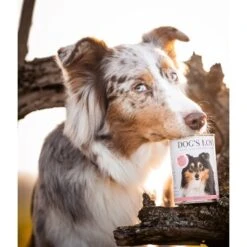 DOG'S LOVE Adult Hypoallergen 6x400g -Haustierparadies f9f1fc4aa515eab49cf2248bceb6cc0121fe13fb 1274558 1