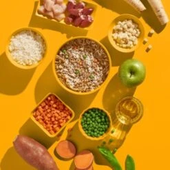 Fred & Felia FRED 10x390g Huhn Mit Reis -Haustierparadies fa3354d5d7e29f5e3115c7e325cceb743afafaab 1422051 de DE 7f006e1364cbbcd2f31ac4115d4fa7fef4504fe7YhzorV