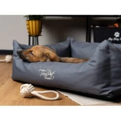 TrendPet Viscado Orthopädisches Hundebett Grau S -Haustierparadies fa523fcf214ad29948357f749f8411c84318d608 1223491 de DE 74cdf346c57dca6a823d241257081a9c82df4746q2Hpnp