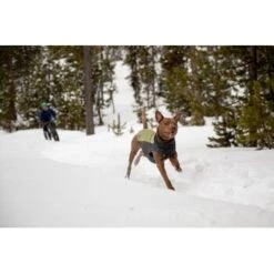 Ruffwear Climate Changer™ Fleece-Pullover Für Hunde Rot S -Haustierparadies fc22c2bf571467d3b4a13f07039506d1e744f556 1369661 de DE a9fba8eb5491b88489a9522880e926a6833ccfbe7NJDVr